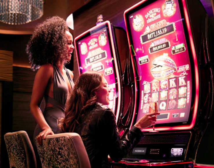 bingoplus